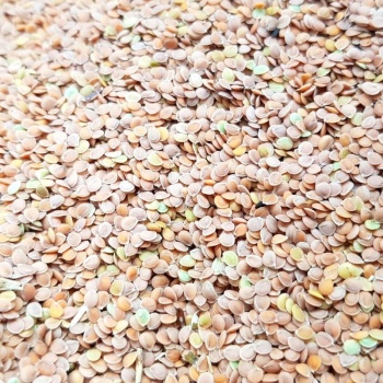  شیرازی دیمه -500 گرم63315a8930ab8103980